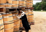 Garrison Brothers Distillery - Hye TX
